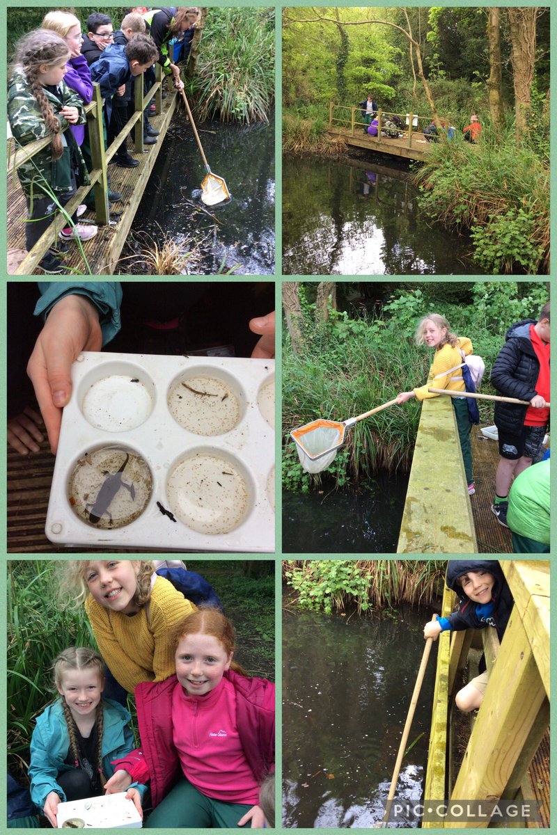 Y3Mabs's tweet photo. Yesterday was a fun packed day! https://t.co/Xrhzk15qt7