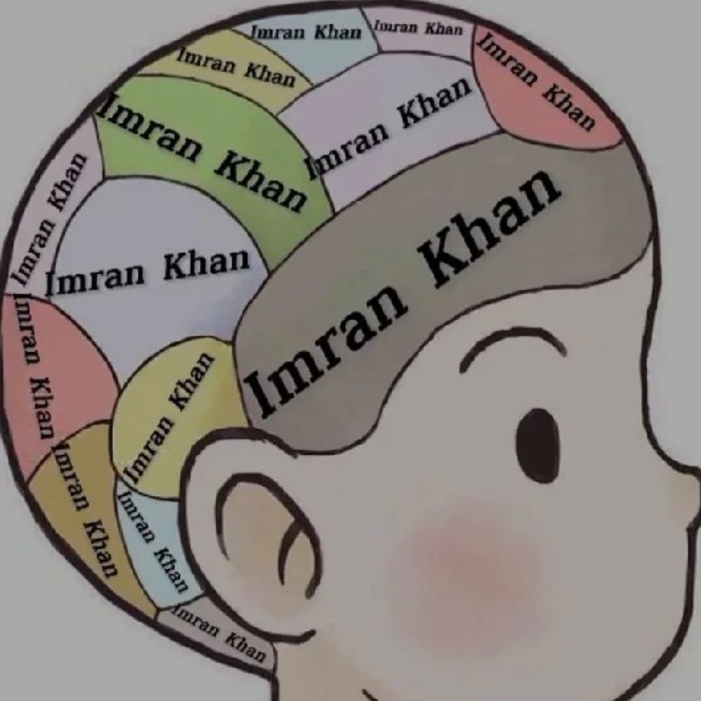 Every Pakistani brain🥺