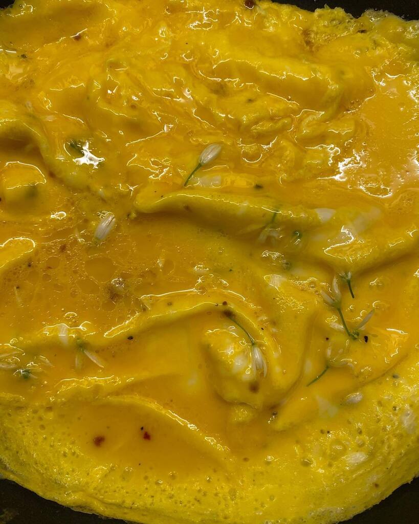 SCCHBandB's tweet photo. Who can spot which seasonal item has been added to this Mee Goreng omelette last night? 😳😃 

#trialrecipe #foraging #indonesianfood #englishtwist #yum #locallysourced #scchbandb #stoodleighstays #stoodleigh #😋 https://t.co/KE1LrsIvFC https://t.co/jzKQGtnLye