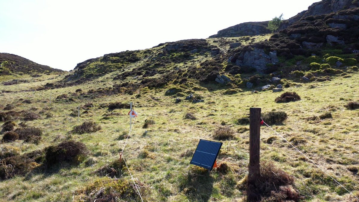 Powered Pasture (@poweredpasture) on Twitter photo Want to graze off some hill block on your farm but have no means of getting mains power to it?
☀️Then you need a Gallagher S400 Solar Energiser!
This amazing bit of kit can power up to 30km of fence, using solar power. Say goodbye to constantly changing batteries! Want to graze off some hill block on your farm but have no means of getting mains power to it?
☀️Then you need a Gallagher S400 Solar Energiser!
This amazing bit of kit can power up to 30km of fence, using solar power. Say goodbye to constantly changing batteries!
