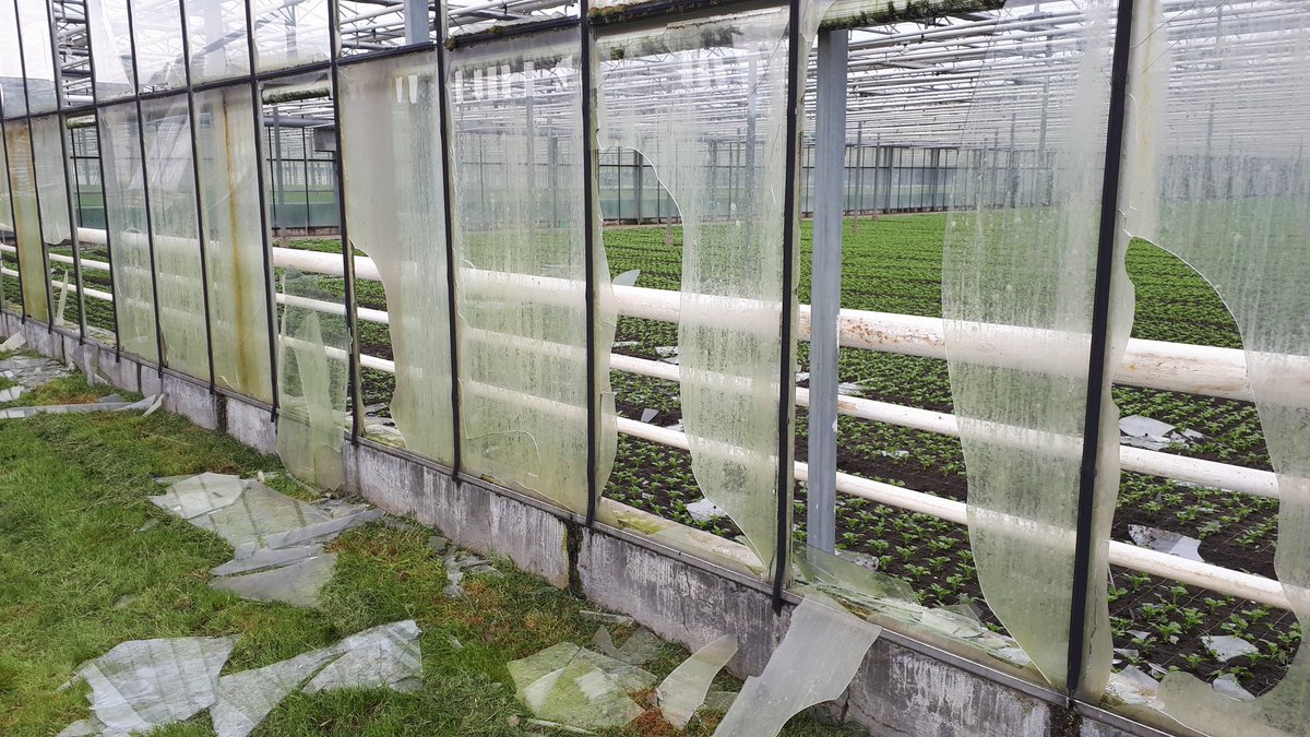 Kees van Egmond ๐ผ tweet media