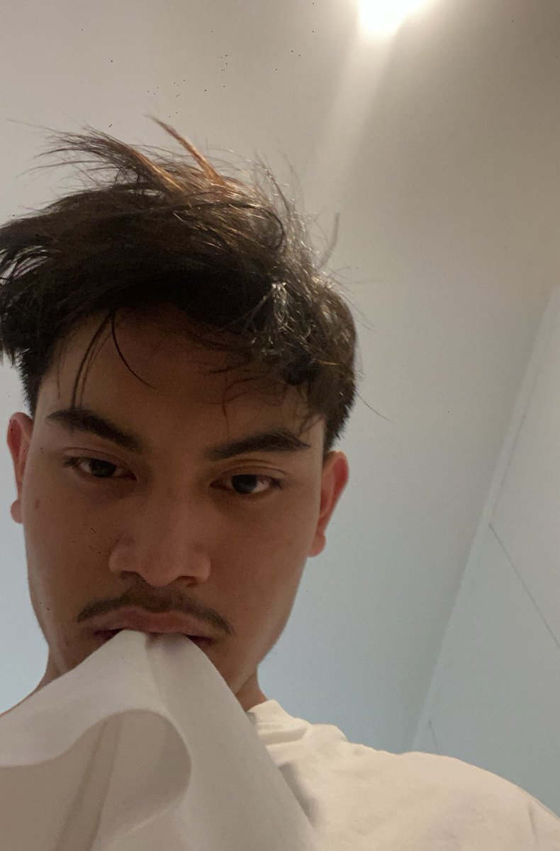 imtristansicat's tweet photo. bite. https://t.co/MP1vmxo3Iw
