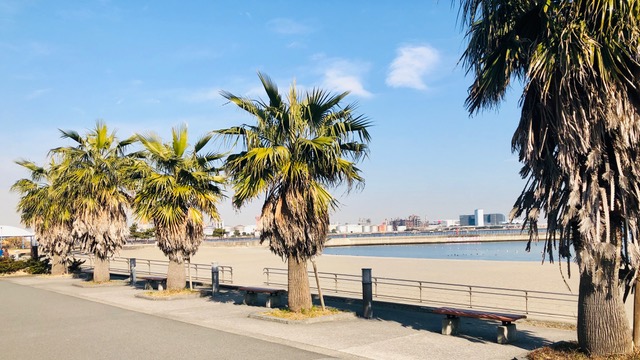 【NEWS】ビーチ・フェス『ACiD presents THE BEACH』が初開催

Nina Kraviz、Peter Van Hoesen、Raven、CYK、Ground、Little Dead Girl、Million Dollar Soundsら出演 spincoaster.com/news/acid-pres… <a href="/acid_ofc/">ACiD</a>