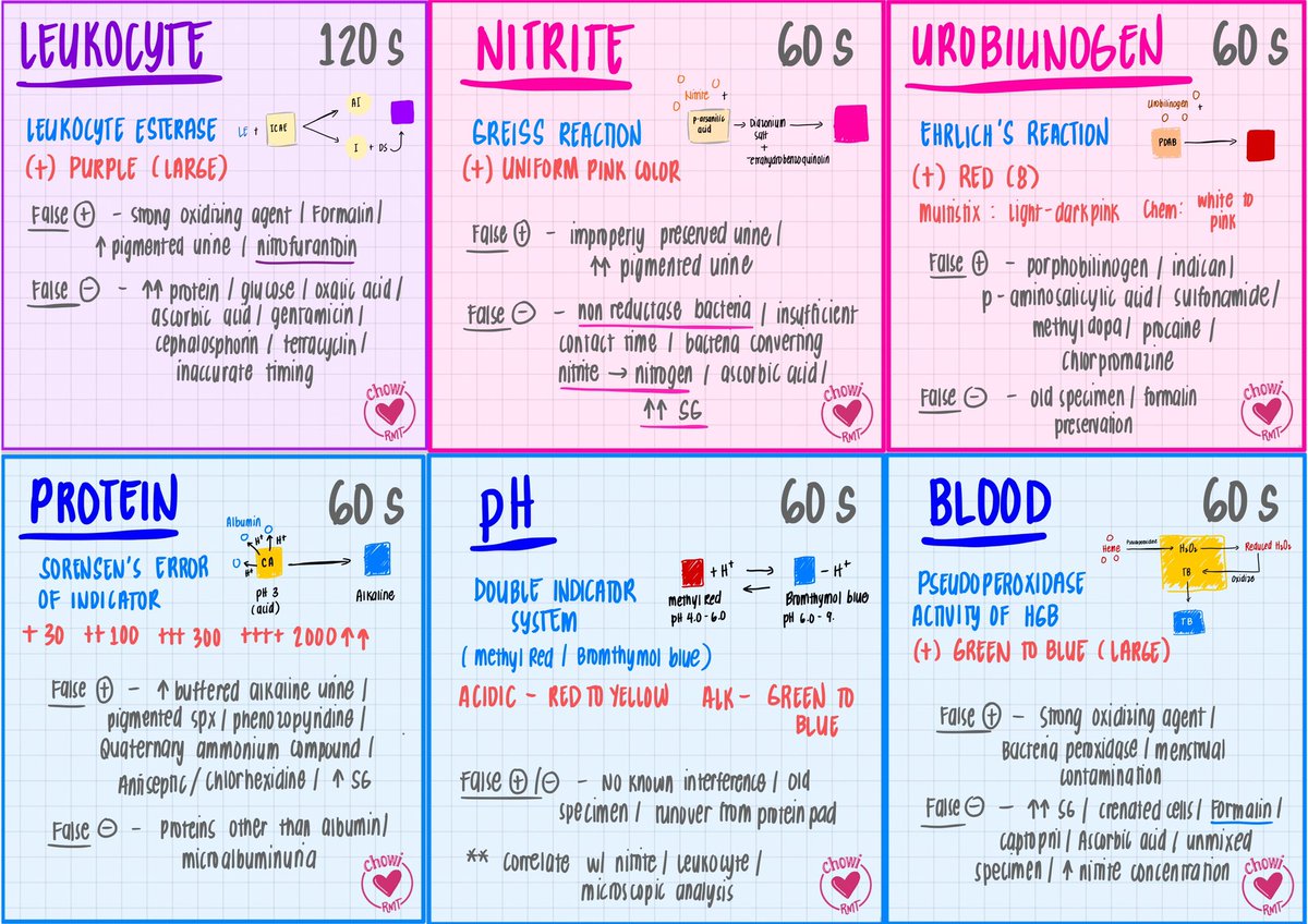 joietoyourworld's tweet image. CM: REAGENT STRIP 🔬

drive.google.com/file/d/1CRmkvj…

Pwede niyong i-print/cut tapos dikit sa wall like yung sa last photo. Sunod-sunod na ‘yan and nag-add din ako ng illustration kung ano ba talagang nangyayari sa each pad and konting mnemonics hehe! 😊

#MTLEClues