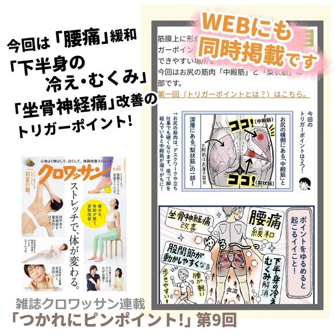 5/10発売の雑誌「クロワッサン」の方にも
新連載「つかれにピンポイント!」第9回 掲載されています

雑誌とweb同日掲載です
よろしくお願いします(^∇^)!

#腰痛 #坐骨神経痛  緩和に
中殿筋と梨状筋のトリガーポイント➡️
https://t.co/XYbkGUCgTc

クロワッサン➡️
https://t.co/MICBaKjCFo 