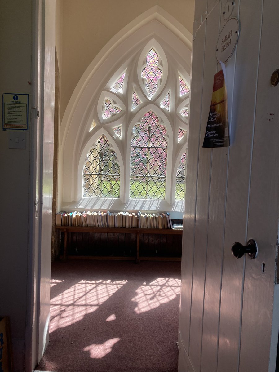 DocBrush's tweet image. My tree is doing its thing. #tinyjoys