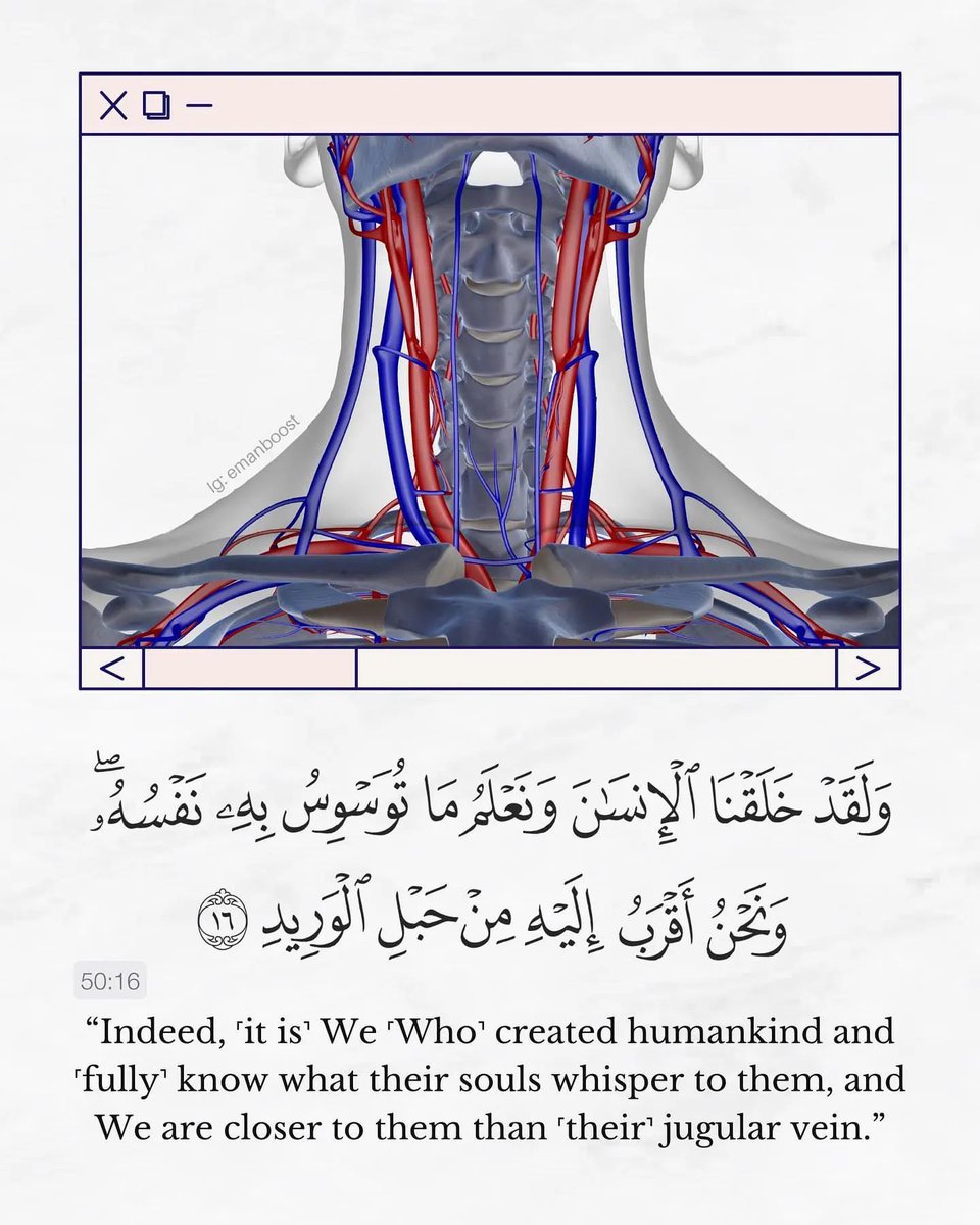 muslimthoughtz1's tweet photo. 📌 https://t.co/ZCGcObJ32N