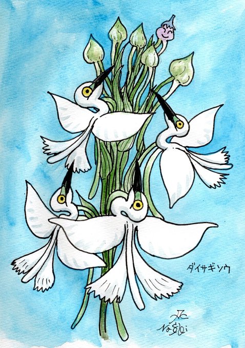 「evolutionary line flower」 illustration images(Latest)