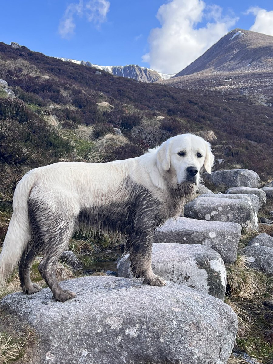 So I’m thinking, this is your problem, not mine…