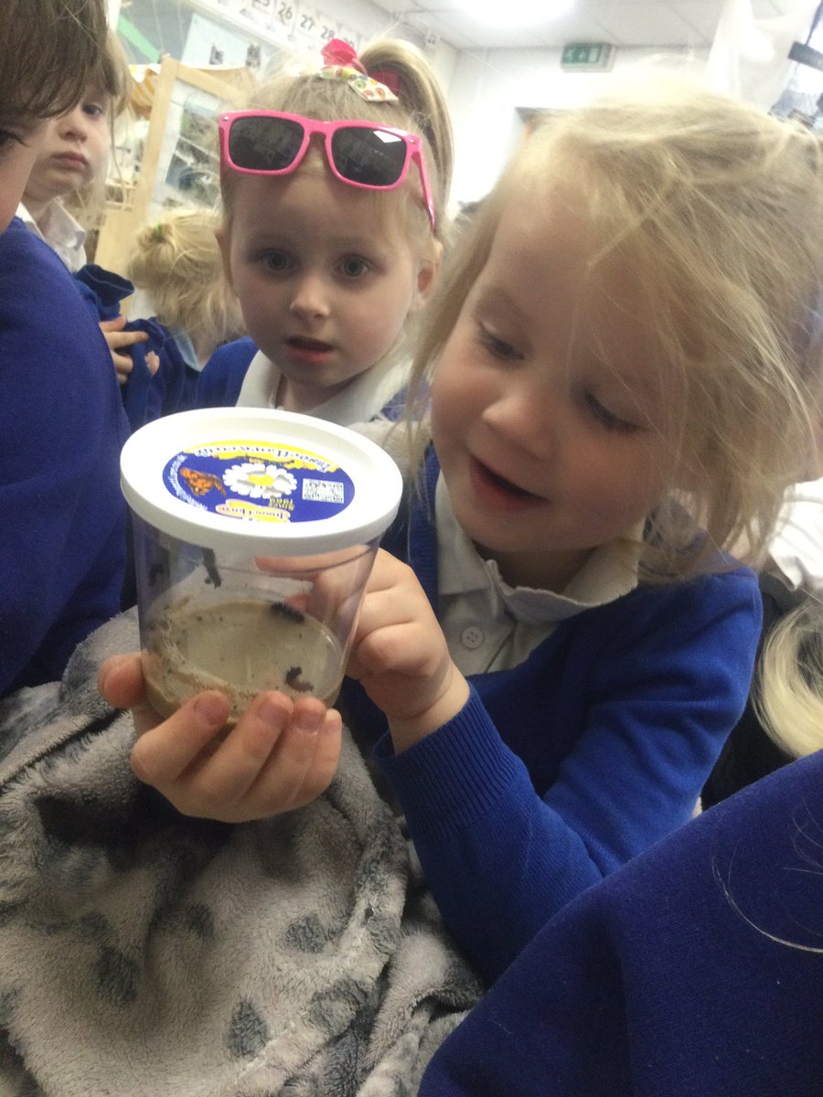 Nursery Simpson’s Lane tweet media