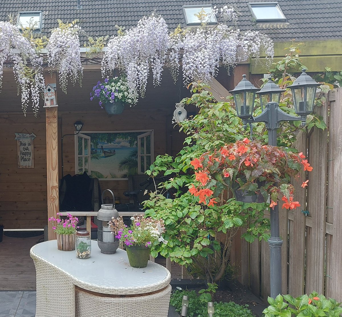 HildaSpruit's tweet photo. Regen of geen regen, zolang ik hiernaar mag kijken, ben ik blij. #onzetuin https://t.co/fzUFWpVUuO