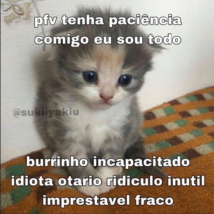 studychuu_'s tweet photo. Bom dia galerinha, hj eu tenho prova de biologia e geografia, preciso de um 9 em biologia e não tenho capacidade pra isso então me ferrei amigos e amigas https://t.co/pw2jrhcLnL