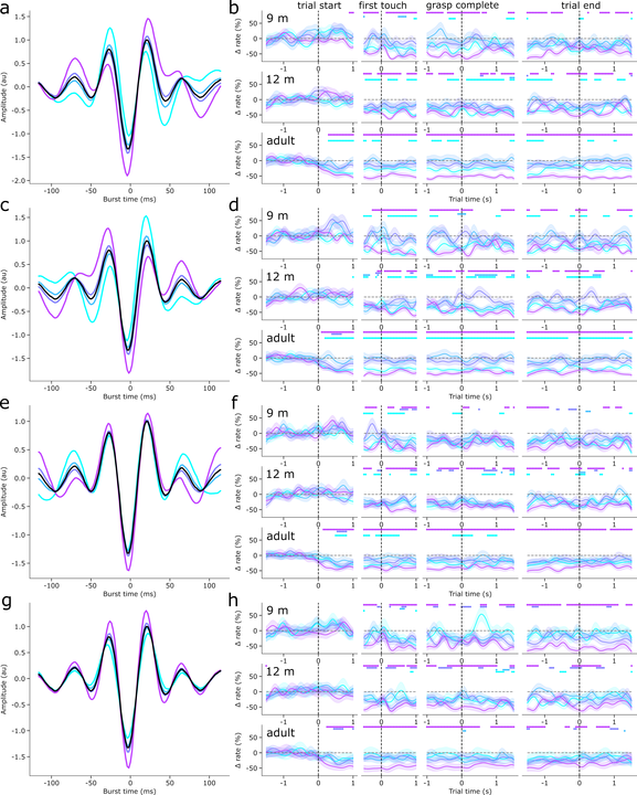 holly_rayson's tweet photo. Notably, a decrease in the rate of certain burst motifs occurred earlier during movement and was more lateralized in adults. This suggests that the rate modulation of specific types of beta bursts becomes increasingly refined with age. https://t.co/9X8JM8LHIg