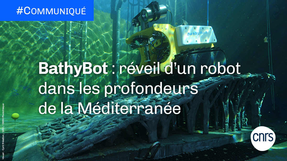 CNRS 🌍 (@cnrs) on Twitter photo #Communiqué 🗞 <a href="/bathybot/">BathyBot - Deep Sea crawler to see the unseen</a> est le 1er robot profond en Europe installé de façon permanente, à plus de 2400 mètres de profondeur. Il vient de débuter sa mission en mer Méditerranée et de dévoiler les premières images de son environnement 🤖
#CNRSocéan 🌊
➡ cnrs.fr/fr/bathybot-re… #Communiqué 🗞 <a href="/bathybot/">BathyBot - Deep Sea crawler to see the unseen</a> est le 1er robot profond en Europe installé de façon permanente, à plus de 2400 mètres de profondeur. Il vient de débuter sa mission en mer Méditerranée et de dévoiler les premières images de son environnement 🤖
#CNRSocéan 🌊
➡ cnrs.fr/fr/bathybot-re…