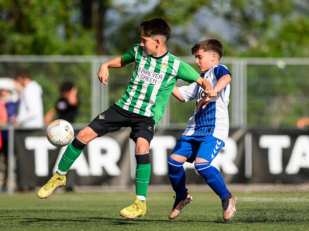 TARfootball_'s tweet photo. Fantastic pics for some fantastic players ‼️
➡️ Más en https://t.co/6Grw6XgzQO
🔥 Un torneo de otro nivel para unos jugadores de otro nivel, como nos gusta...😍
#TAR23 | #LaLiga | #U11Promises https://t.co/RQNHl9AbxA