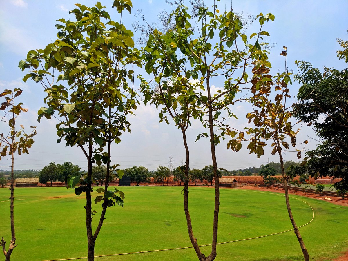 charu_prabhu's tweet photo. A lovely day for cricket.
#Maniknagar https://t.co/i422LuuBn1