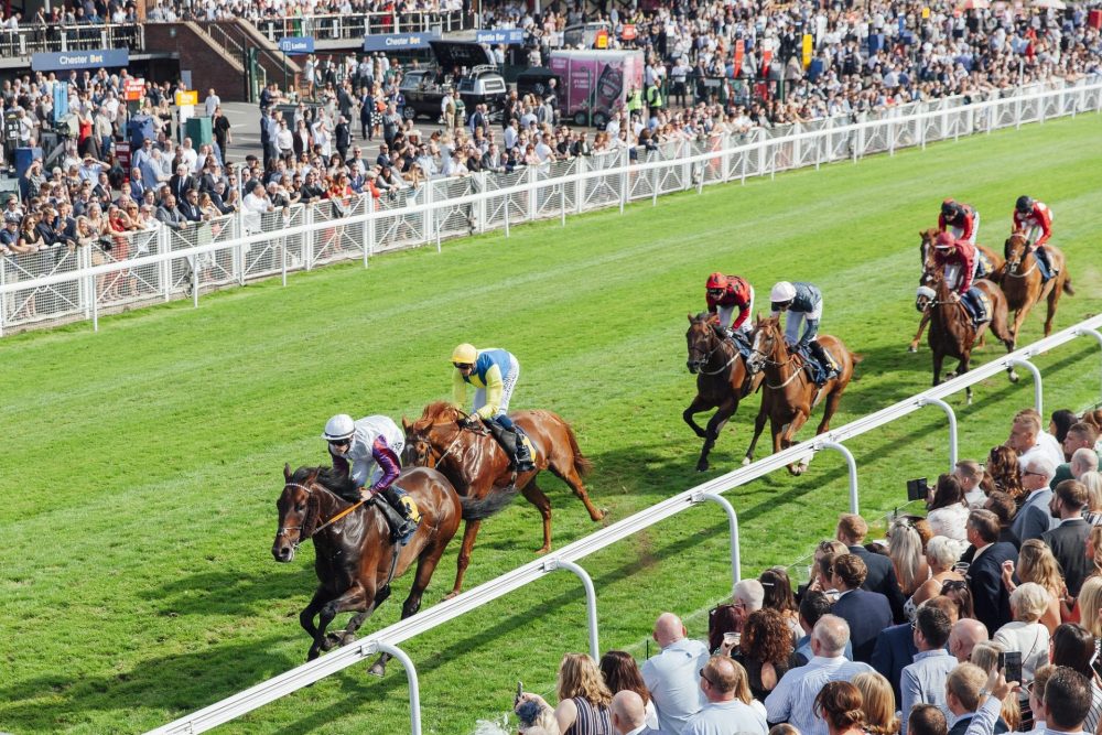 bettinganalystt's tweet photo. CLASS ACT AT CHESTER

This one is on us and we hope you benefit from this PREMIUM PICK.

1:30 RACE - Link below:

https://t.co/1QVtsvO7Ty

#racingservice #racingtips #progambler #chesterraces https://t.co/bxG6lzAA82