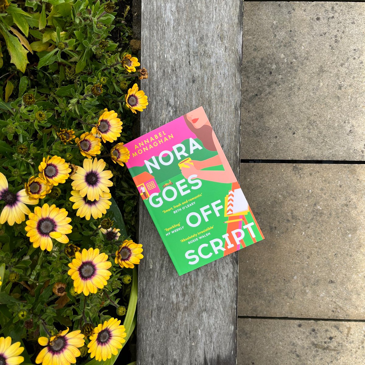 TeamBookends's tweet photo. 'Such a charming read' @csittenfeld
'It's got the vibes of Beach Read by Emily Henry, with the escapist glamour of Hollywood' @DentLizzy
#NoraGoesOffScript by @AnnabelMonaghan is out in paperback TODAY in the UK 🎉🎬Shop now: https://t.co/FcfVqUdCOf https://t.co/59Eve7gwY3