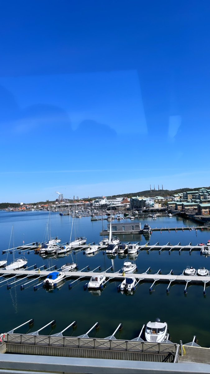 Miss Jones tweet media