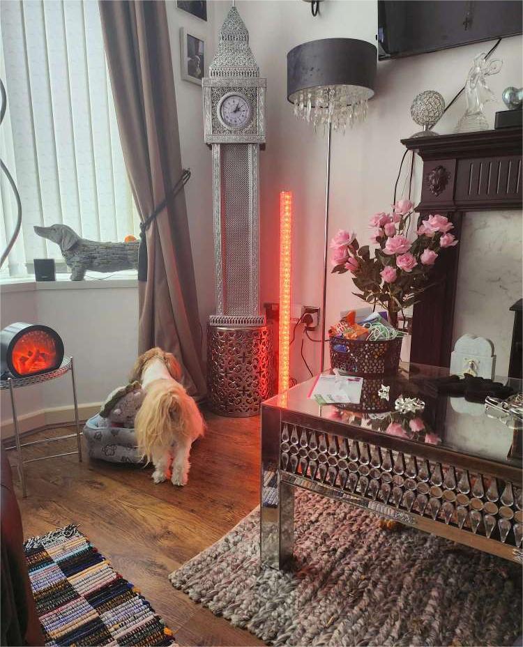 Get the futuristic glow in your home.

Shop the floor lamp 🔎B31-364V70: bit.ly/42t5XJM