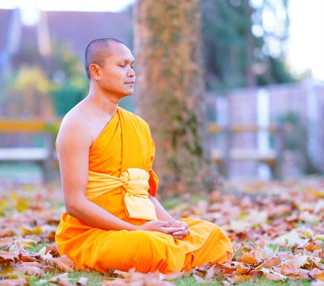 udsaha789's tweet photo. https://t.co/yOkizfzwWb
 
Meditating: when you reach the point that you feel light,
comfortable and happy,
you will never feel bored but feel delight within.
Though you are alone you do not feel lonely.
Your mind https://t.co/Q5S6AxqKsy