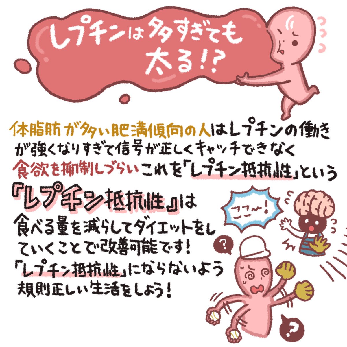 質問が1番多かった『食欲を抑える方法を教えてください』の回答まとめ📔 そもそもなんで「よく噛む」「寝ないと食欲が増す」って言われるのか、そこにはホルモンが関係しています❗️  そして食欲があるのはいいことなんです、ただコントロールができてないのが原因で太る👈  #あやダイ