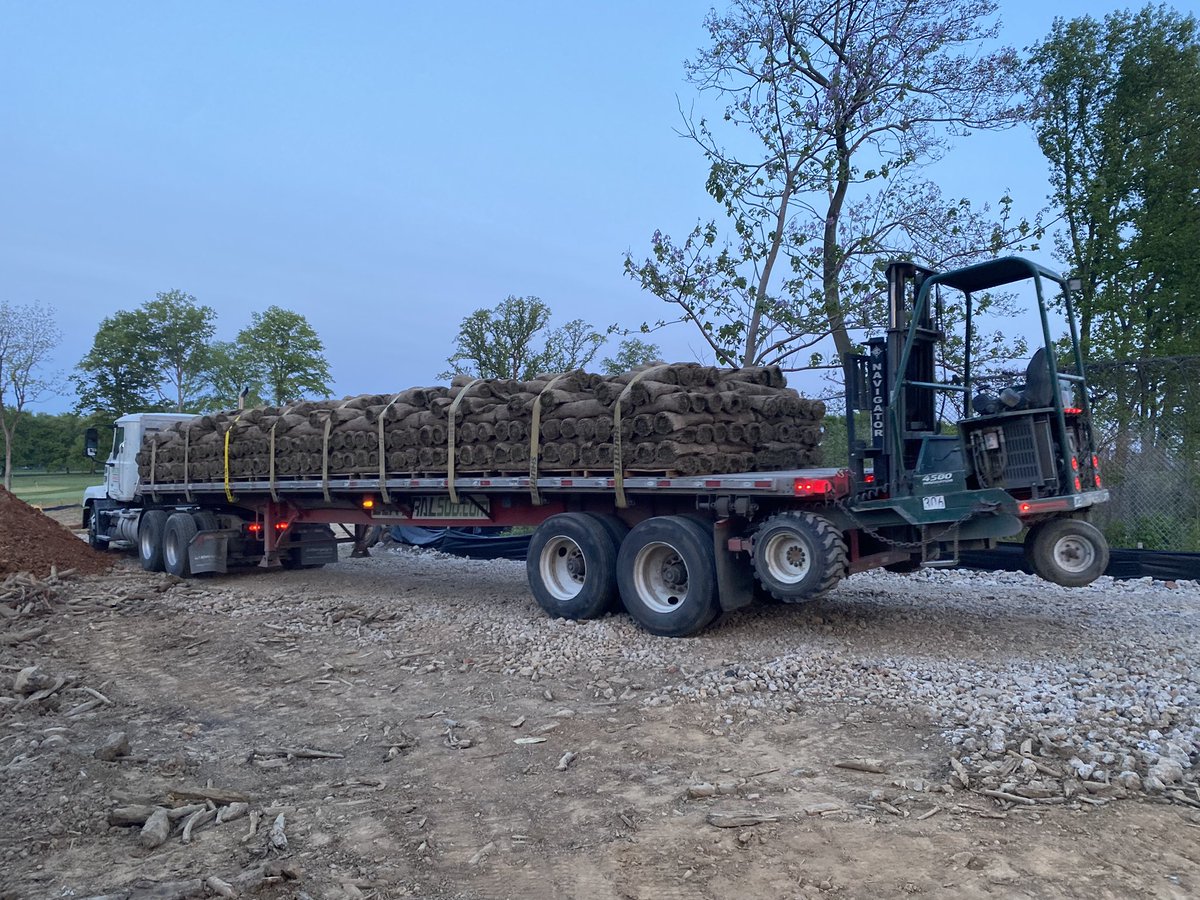 Mark Harrison tweet media