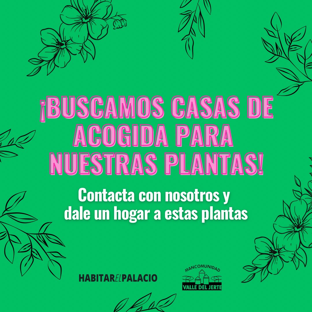 🏡 Si te animas a llevarte algunas de estas plantas, contacta con nosotros, acércate al Palacio del Cerezo y dales un hogar temporal a nuestras queridas plantas hasta que podamos llevar a cabo su plantación. ¡Necesitan mucho mimo!