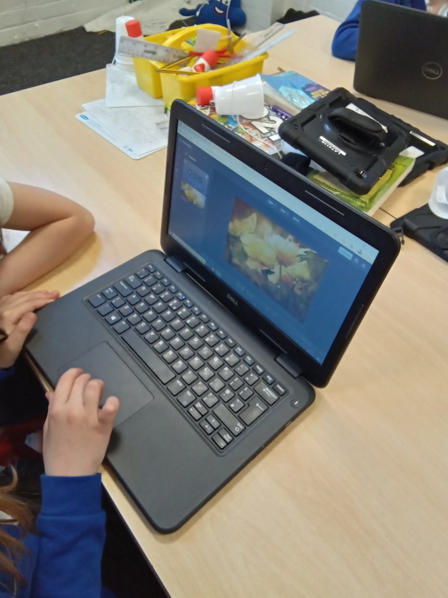 DeltaMerseyY6's tweet photo. We experimented with changing the colours of pictures in our computing lesson @DeltaMersey #MPAcomputing https://t.co/tHtonGz0FC