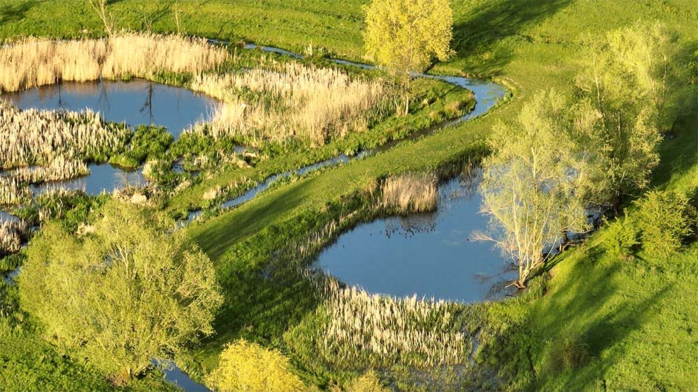 Wiebe de Jager tweet media