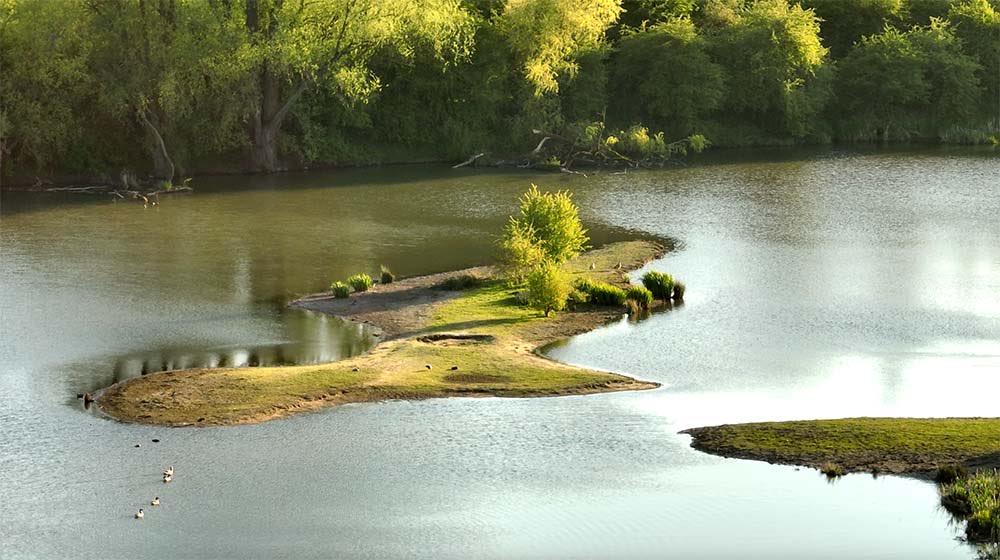 De lente komt goed op gang in de #Jufferswaard te #Renkum.

Dit natuurgebied is vanaf 1840 veelvuldig vastgelegd door schilders. Vanaf 1/6 worden hun werken tentoongesteld in Oosterbeek: stichting-culture.nl

<a href="/Renkums_Beekdal/">Stichting Renkums Beekdal</a> <a href="/RenkumNieuws_NL/">Renkum.Nieuws</a> <a href="/Gem_Renkum/">Gemeente Renkum</a> <a href="/provgelderland/">Provincie Gelderland</a>