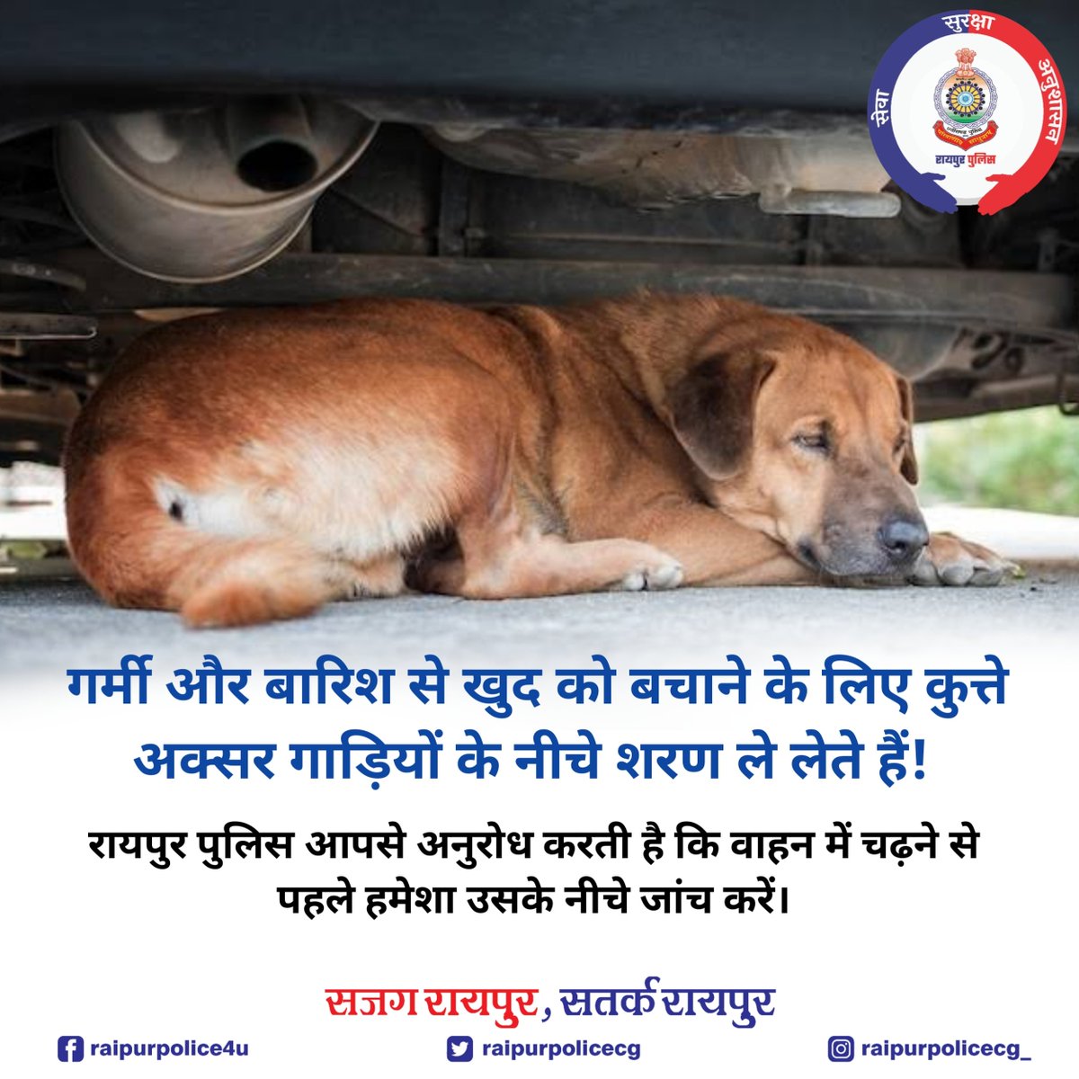Always check!! 😊
. 
Please share it! 
.
. 
#raipurpolice #raipur #raipurcity #awareness #morraipur #animallover #animal #dogcare #animallovers