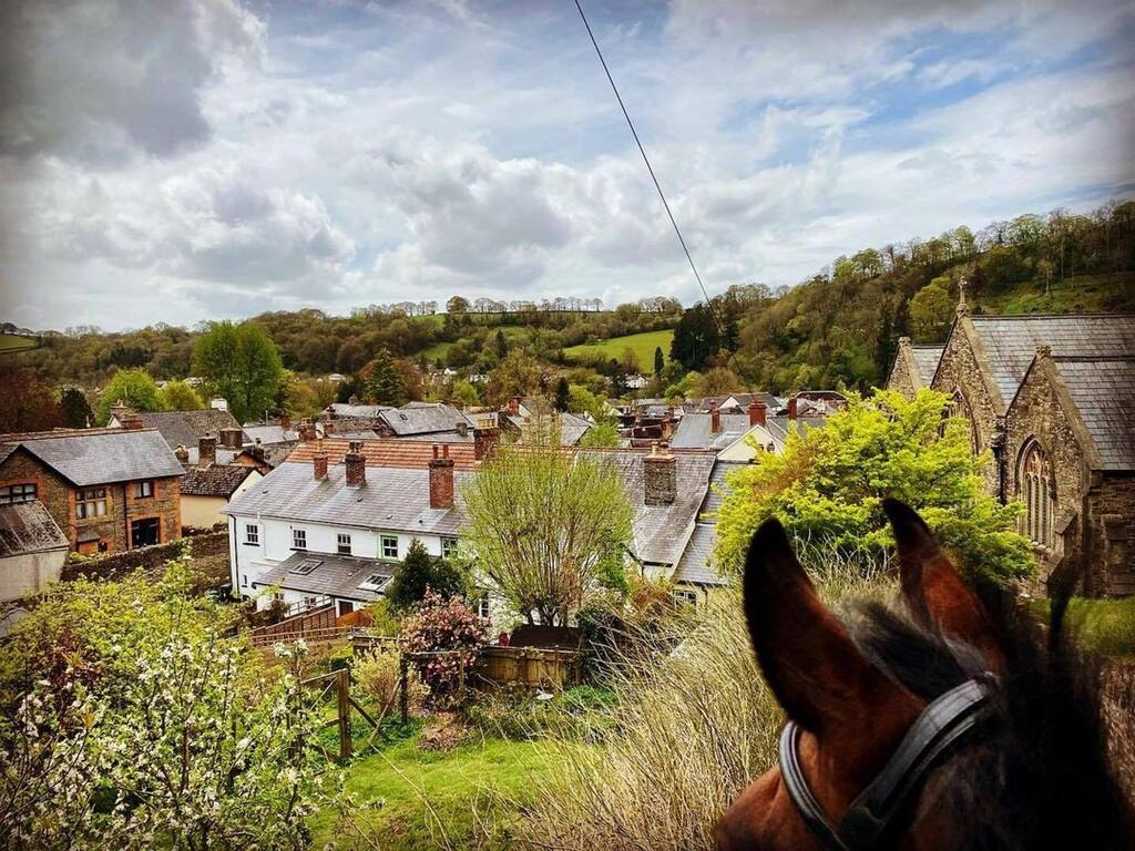 And another lovely Happy Somerset Day picture from Ali at @visitdulverton - great shot Ali! instagr.am/p/CsGK4-TMhou/