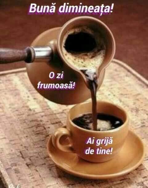 VojkicV's tweet photo. @aerolaur Bunä dimineata!☕️☕️🍀☀️ https://t.co/pjIKMilayH