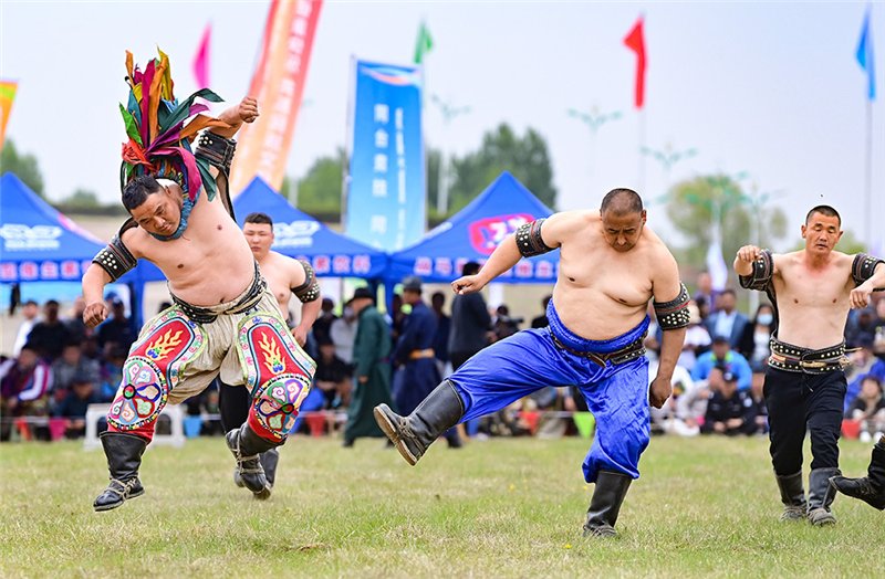 OrdosChina's tweet photo. What are the "three games of men" for Mongolian people? Bokh🤼‍♂️, known as Mongolian-style #wrestling, is definitely one of the top choices.
👉Come to glimpse the highlights of a Bokh competition in #Ordos city! #SpringInInnerMongolia #OrdosCulture https://t.co/pTlTCAvdin