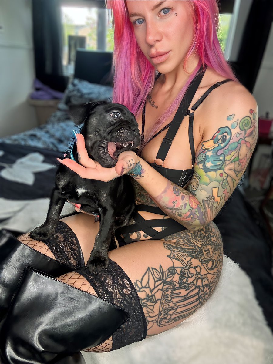 Rustymaverick22's tweet photo. Caution ⚠️ Pretty but a mean Bite 👹
#maybite #dommewomen #femmedomme #puppy https://t.co/cd6Z70oYT5