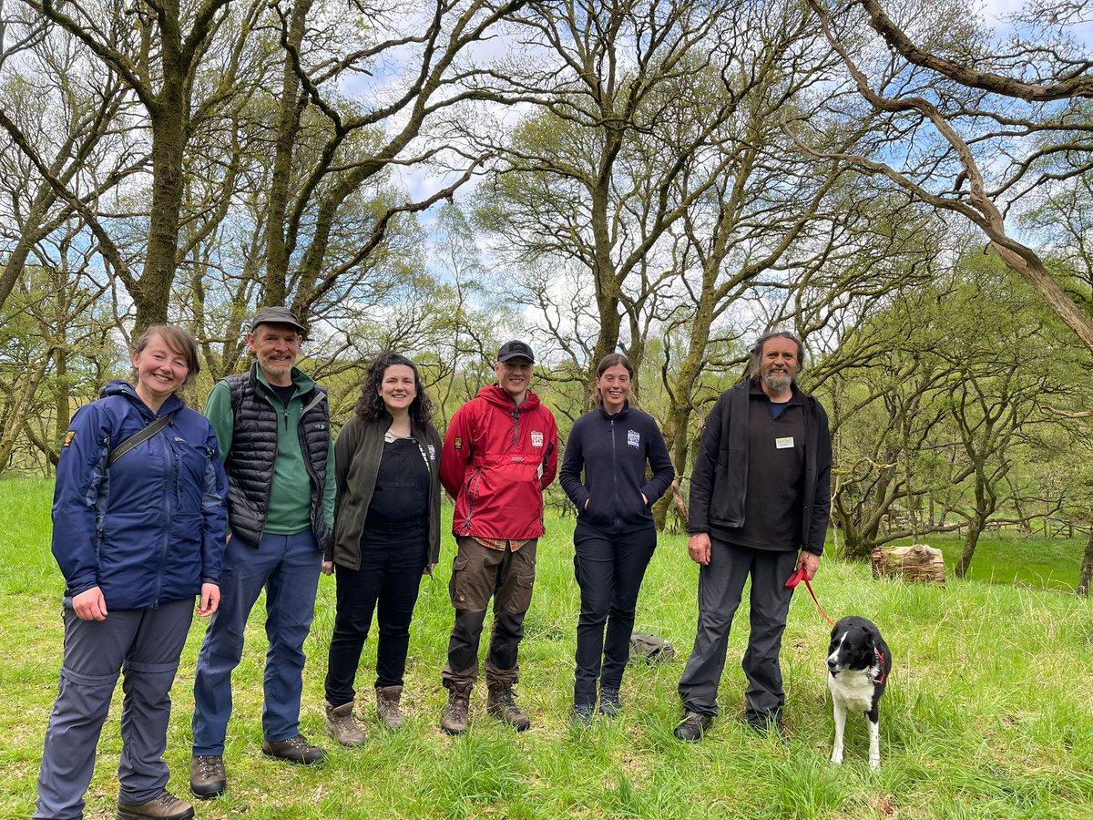Borders Forest Trust (@bordersforest) on Twitter photo Fantastic to explore the variety of woodland across Galloway on the annual <a href="/RSFS1854/">RSFS</a> tour. Good to hear about the management of Glentrool oakwoods SSSI from <a href="/ForestryLS/">Forestry and Land Scotland</a> and <a href="/nature_scot/">Former NatureScot account</a> & visit the beautiful <a href="/RSPBScotland/">RSPB Scotland</a> reserve at Wood of Cree.
#forestry #gallowayforestpark Fantastic to explore the variety of woodland across Galloway on the annual <a href="/RSFS1854/">RSFS</a> tour. Good to hear about the management of Glentrool oakwoods SSSI from <a href="/ForestryLS/">Forestry and Land Scotland</a> and <a href="/nature_scot/">Former NatureScot account</a> & visit the beautiful <a href="/RSPBScotland/">RSPB Scotland</a> reserve at Wood of Cree.
#forestry #gallowayforestpark