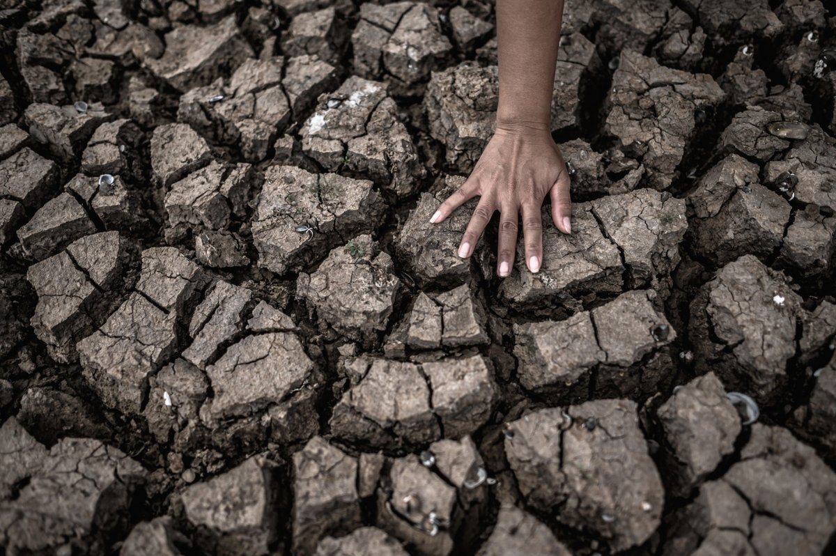 Africa: Onu ricorda la necessità di agire contro la crisi climatica - africaeaffari.it/39091/africa-o…