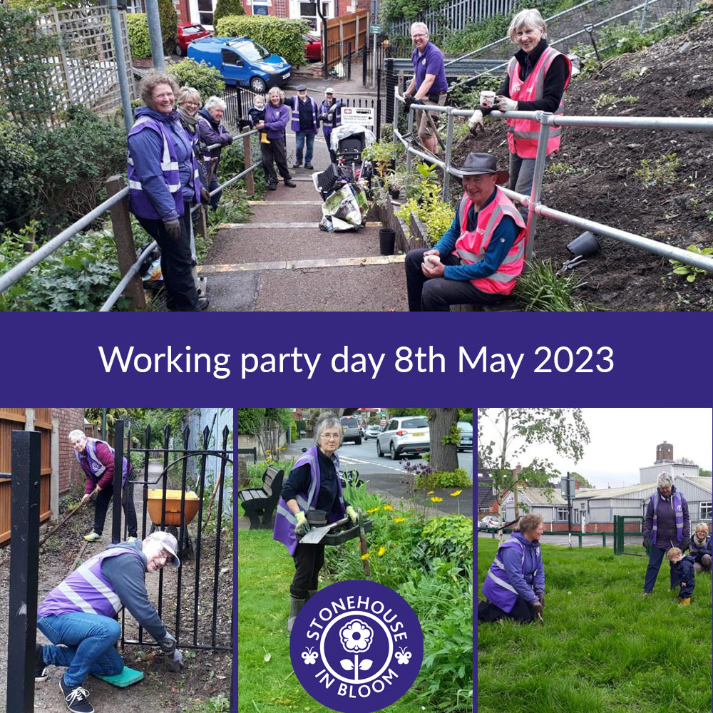 Working Party Day 8th May - The threat of rain didn't dampen the SIB Team spirits, as they toiled, digging and planting in the Station Steps Garden, mulching the pathways and beds on The Memorial Green and planting Yellow Rattle in Laburnum. @RHSBloom @HOEInBloom