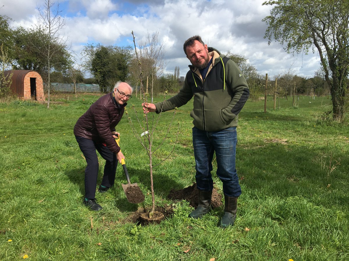 Saffron Acres tweet media