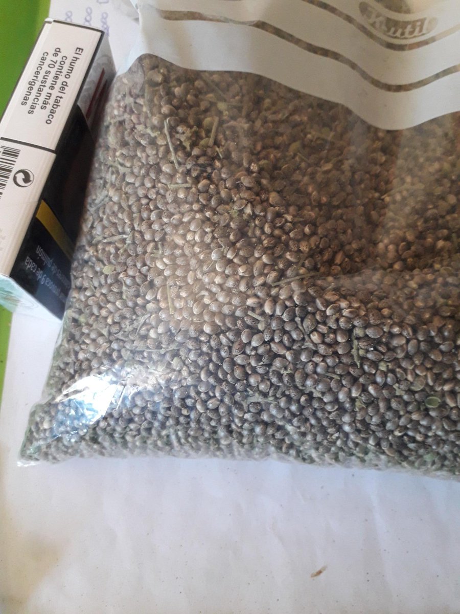 Do you want to make feminized and autoflowering seeds like a pro?

#THC_science  #CannabisCommunity  #weed  #Marijuanaseeds