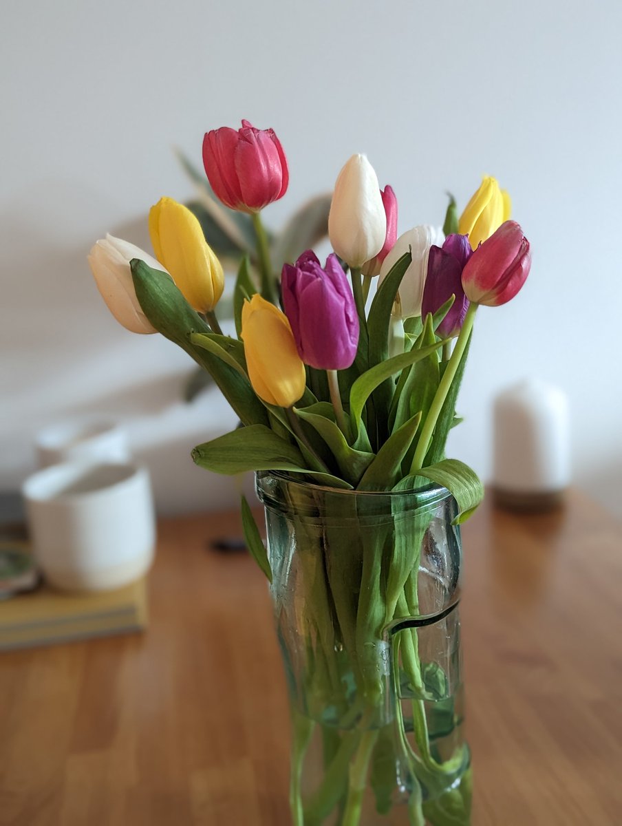 faysiotherapy's tweet photo. Lovely flowers from a thankful AHP candidate on an ICU upskill course I've been helping to run. Always nice to be appreciated! https://t.co/qH0lmBRZ4F