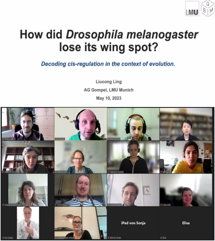 Guest speaker <a href="/Liucong_Ling/">Liucong Ling</a> gave a really interesting presentation about decoding cis-regulation in Drosophila🪰 in our Gevol Focus Group Meeting for Epigenetic and Gene Regulation. Thanks.