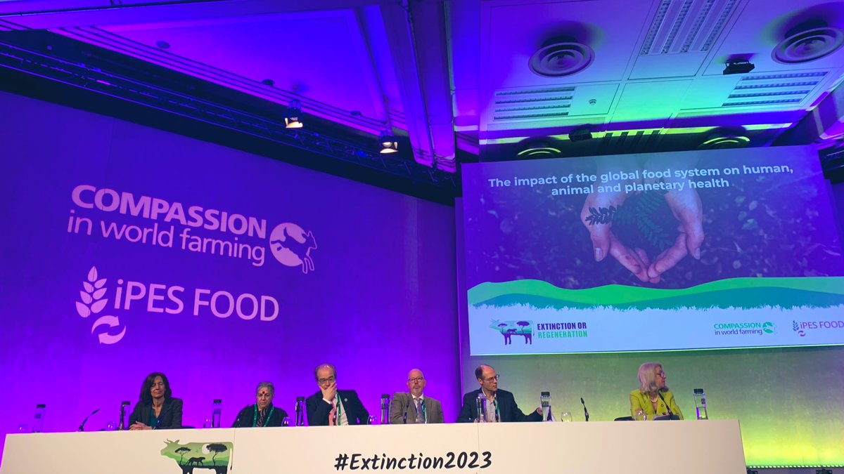 Clement Metivier tweet media