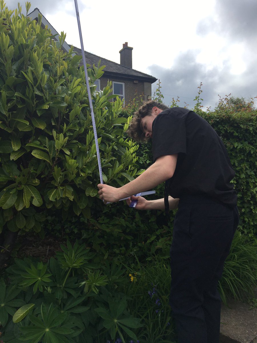 LRGSBiology's tweet image. Random sampling #lightintensity #northfacevsouthface #leafsize