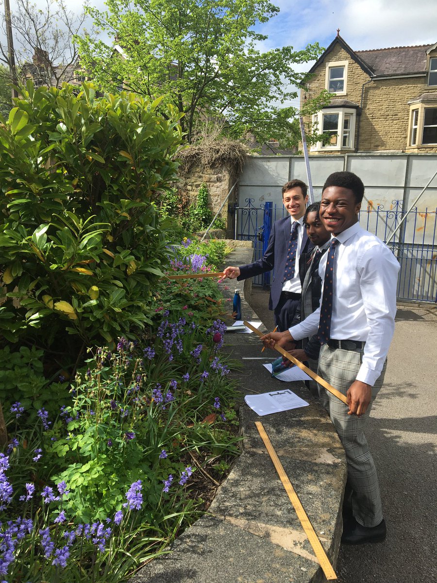 LRGSBiology's tweet image. Random sampling #lightintensity #northfacevsouthface #leafsize