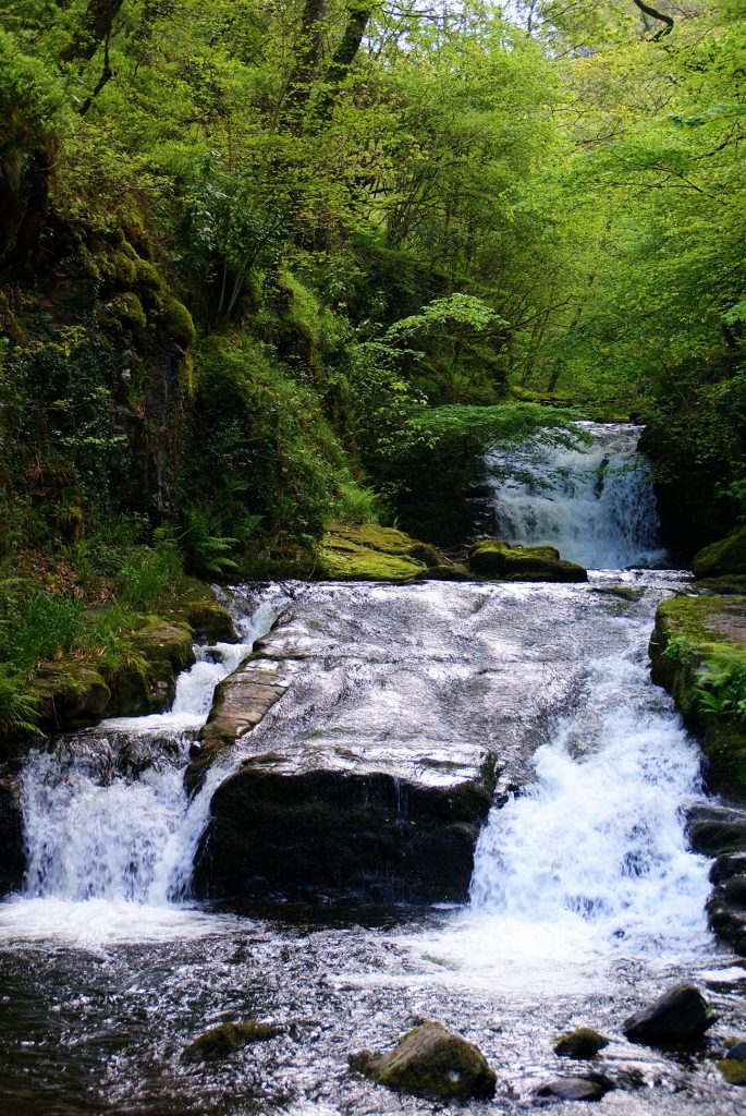 Thinking of studying #hydrology or #catchment management? We're providing student #bursaries of up to £2,500 to support MSc or MRes studies in a water related subject in partnership with @britishhydrosoc & @EnvAgency Find out more and apply: jbatrust.org/how-we-help/bu…