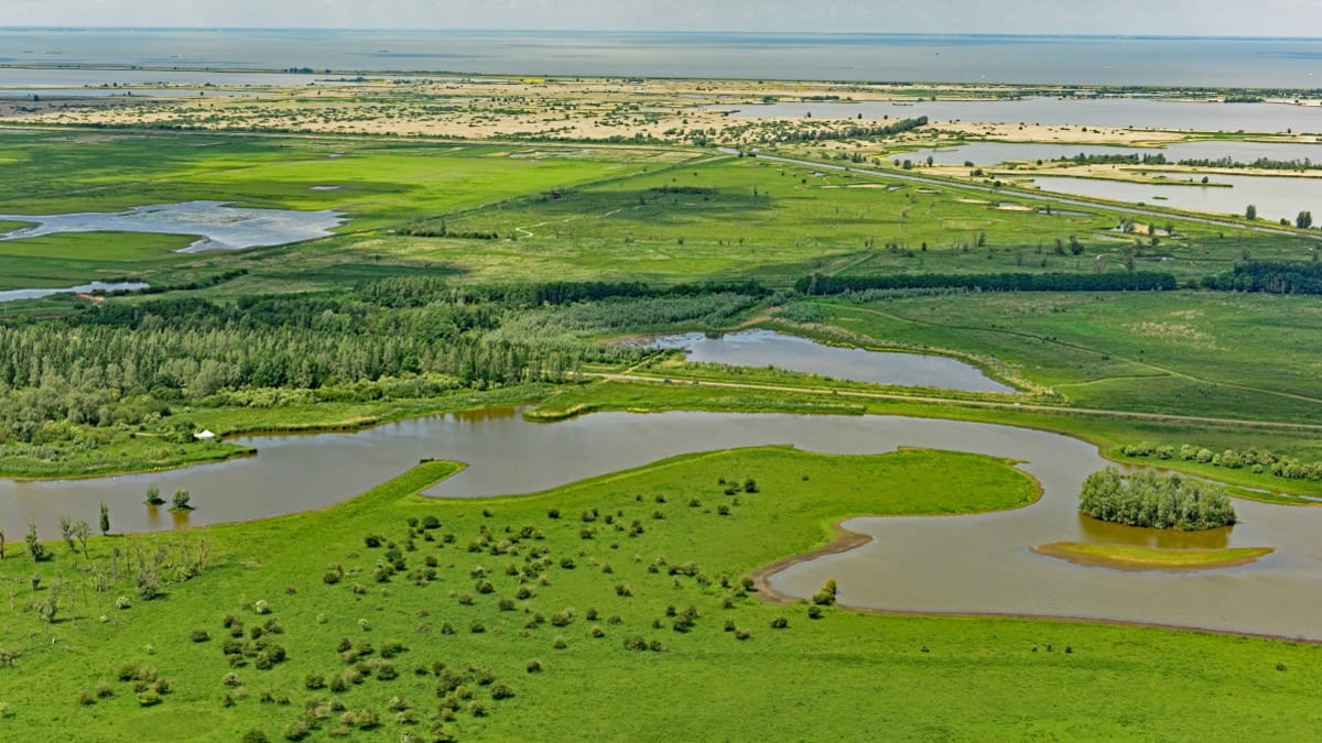 Er zijn weer diverse onderdelen van het managementplan Oostvaardersplassen afgerond, zoals de aanplant van bomen en struiken en de aanleg van een vispassage. Ook is het aantal edelherten in het gebied op niveau. bit.ly/44UgAXF