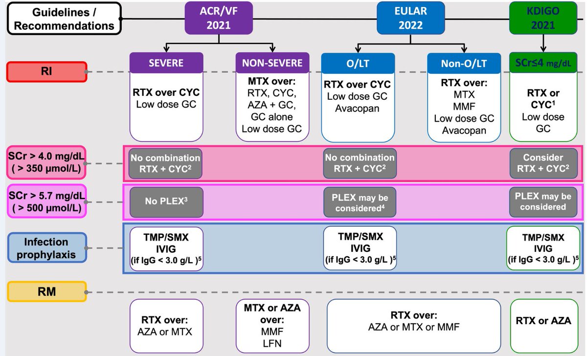 ndt-on-twitter-management-of-anca-associated-vasculitis-with