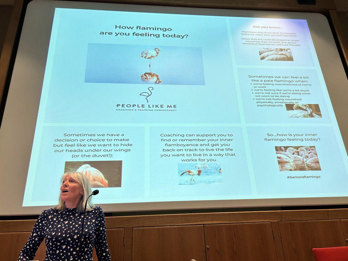 Sometimes we just want to hide our head under our wings instead We need to be more flamingo ⁦and flamboyant JulieLuscombe⁩ #Toptotoe